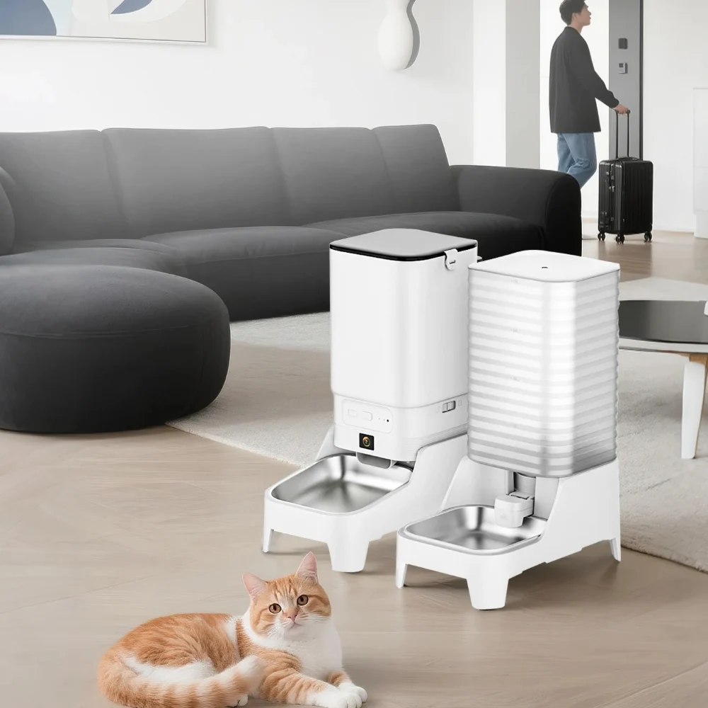Distributeur croquette et fontaine eau automatique dans un salon moderne avec chat