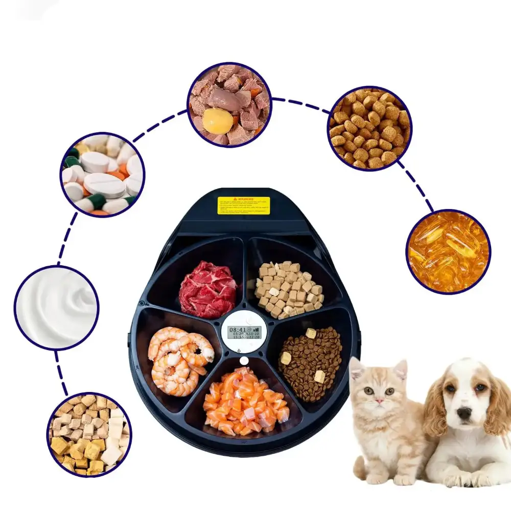 Vue intérieure du nourrisseur automatique avec cinq compartiments contenant viande, crevettes, croquettes et autres aliments pour chat et chien
