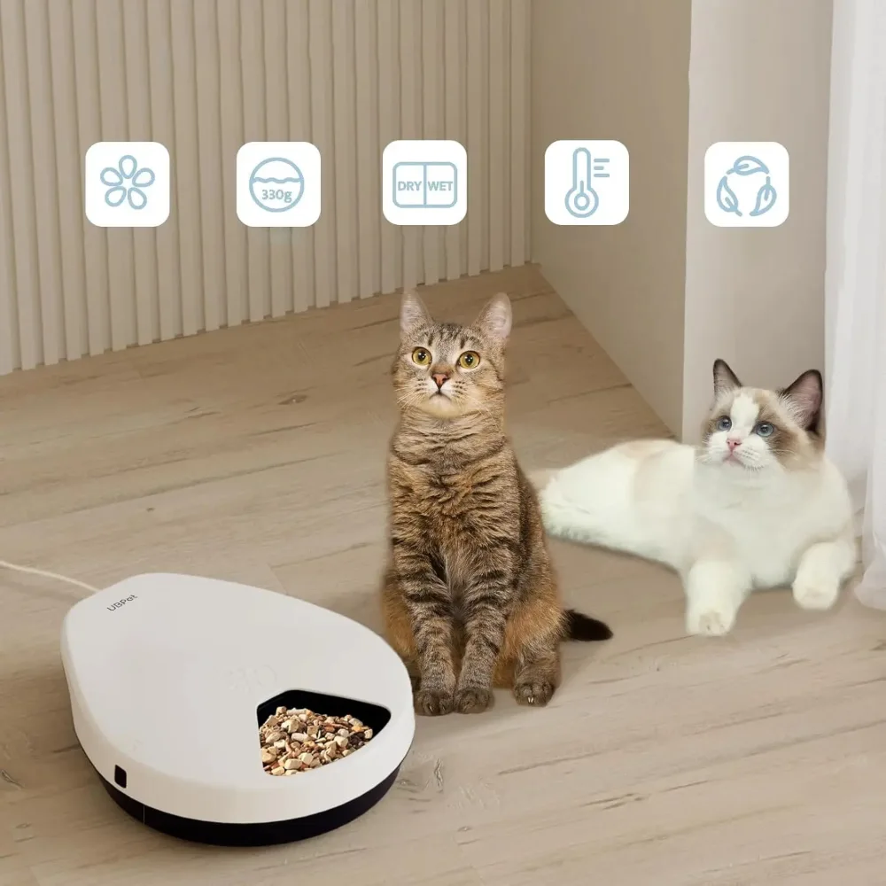 Deux chats assis devant un distributeur automatique de croquettes blanc avec icônes de fonctionnalités affichées