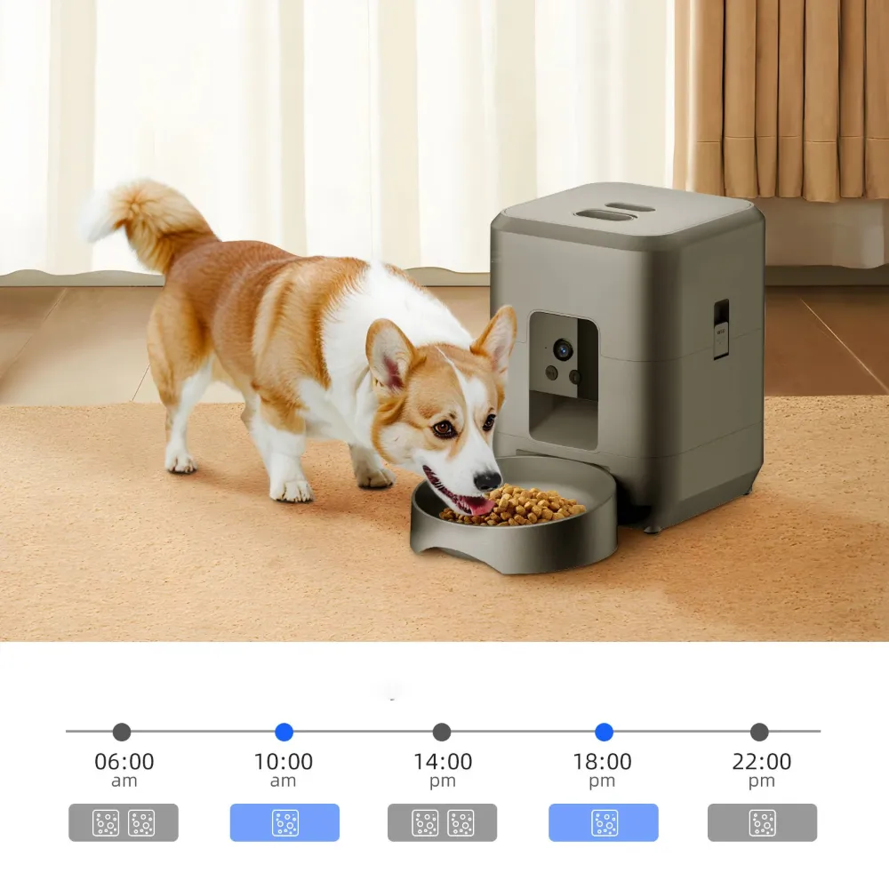 Corgi mangeant des croquettes devant un distributeur automatique gris avec planning horaire