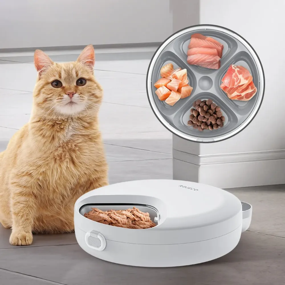 Chat roux assis devant distributeur automatique réfrigéré avec plateau 4 compartiments en insert
