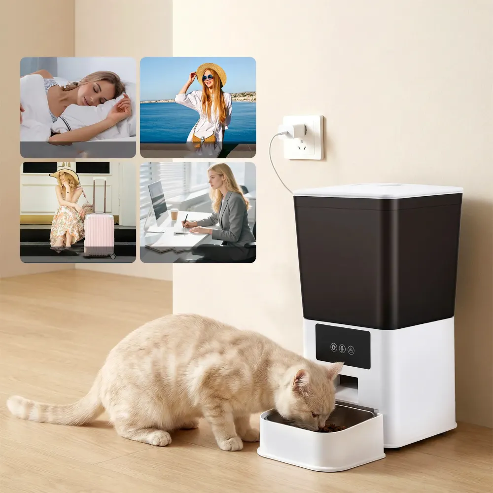 Distributeur croquette automatique connecté blanc avec chat roux mangeant dans gamelle inox