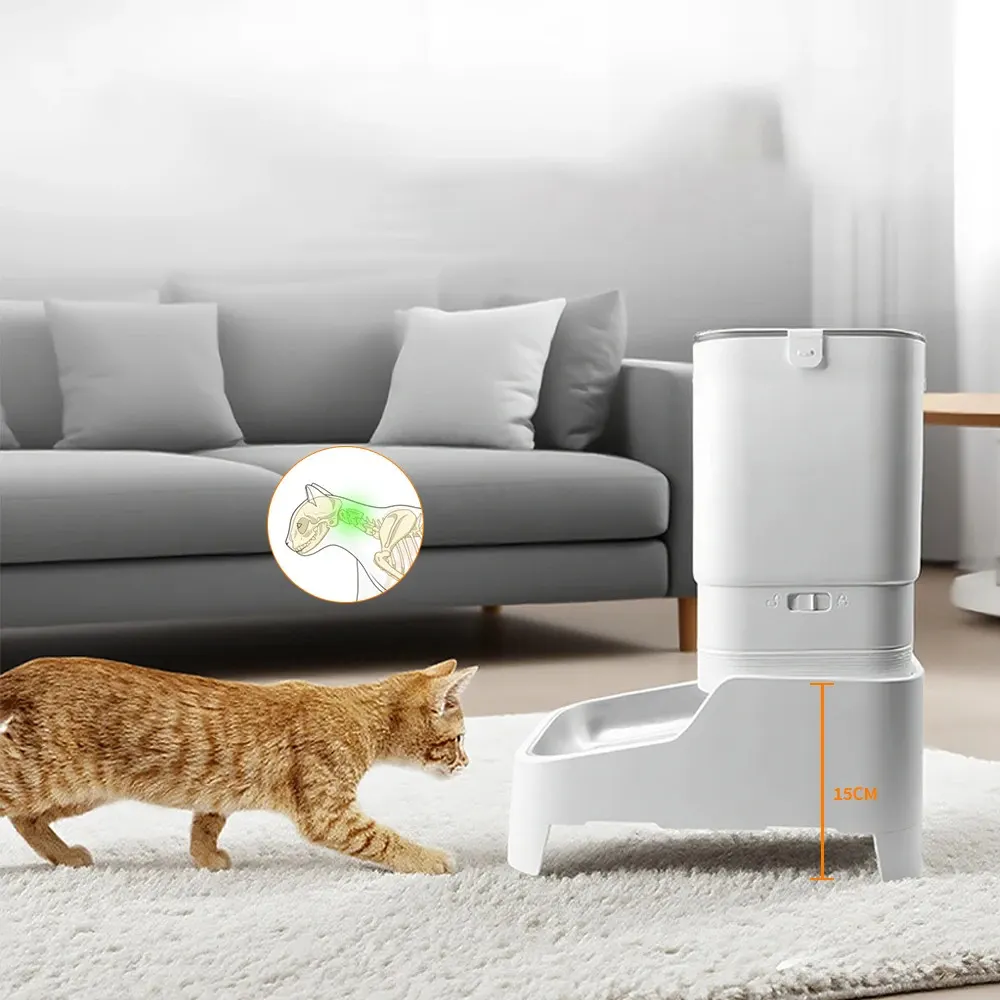 Chat roux marchant vers le distributeur automatique posé sur pied surélevé de 15 cm en salon