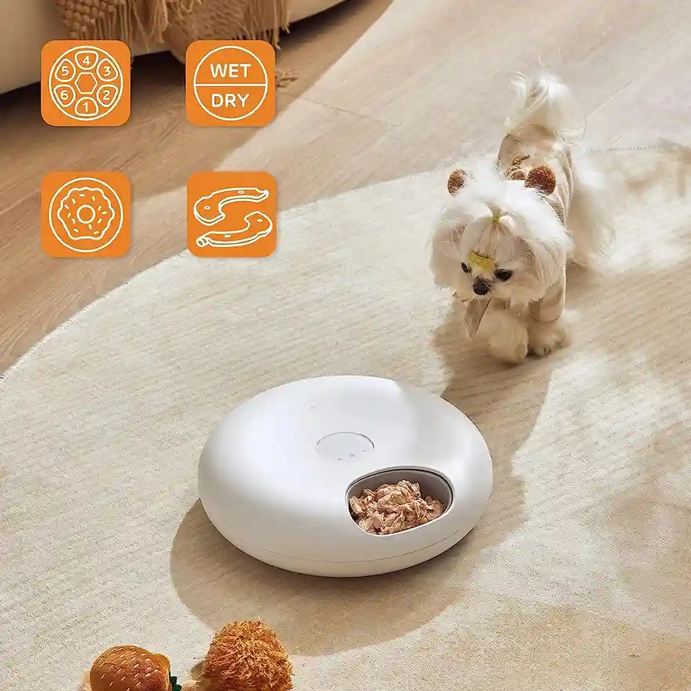 Petit chien blanc devant le distributeur automatique posé sur un tapis beige