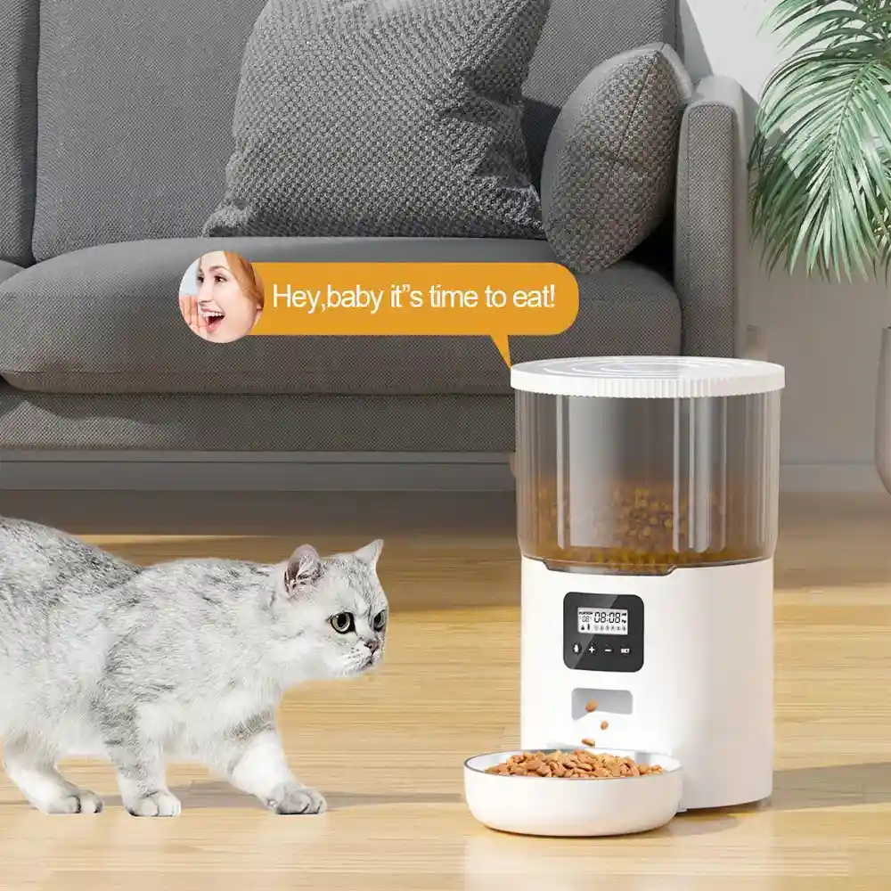 Nourrisseur automatique blanc avec chat tigré approchant la gamelle dans un salon