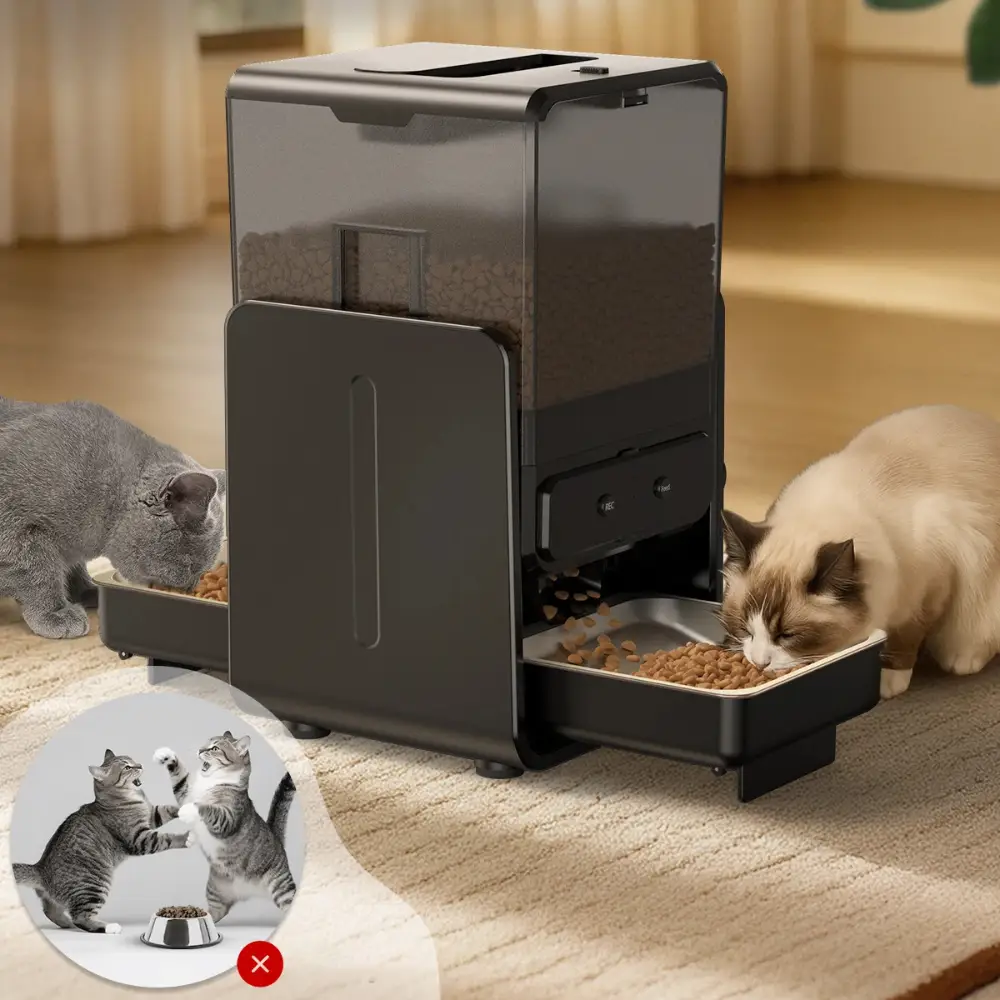 Deux chats mangeant simultanément dans un nourrisseur automatique double gamelle posé sur tapis