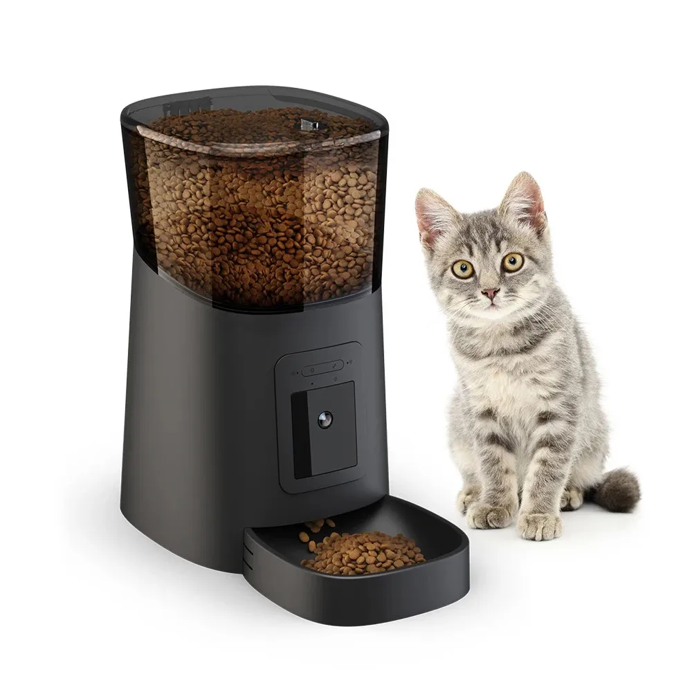Distributeur croquette noir connecté avec réservoir 6L et chaton tigré gris assis à côté