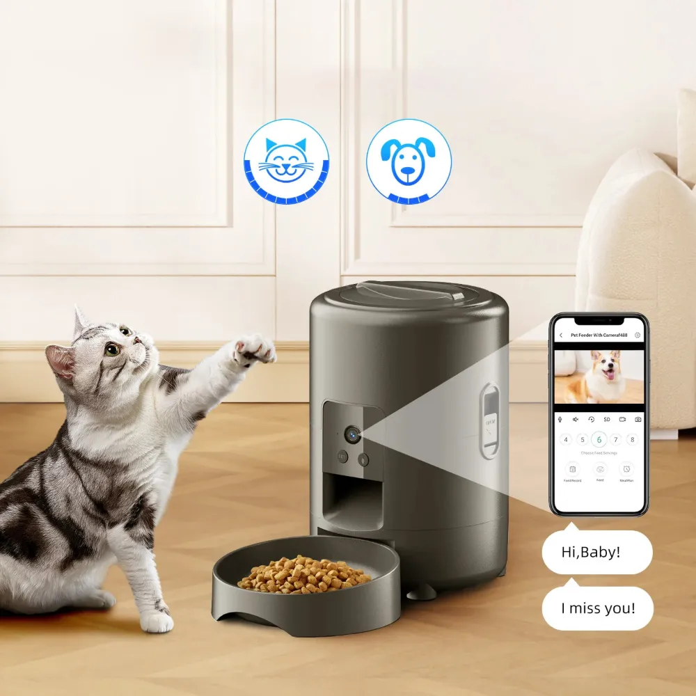 Chat tigré interagissant avec distributeur croquettes caméra couleur bronze en intérieur