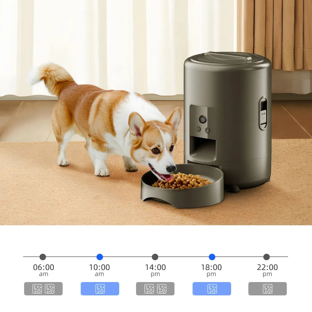 Chien corgi mangeant des croquettes devant un nourrisseur automatique programmable gris