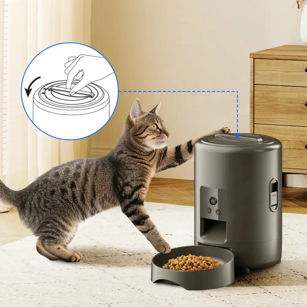 Chat tigré touchant le couvercle d'un distributeur automatique de croquettes gris avec gamelle