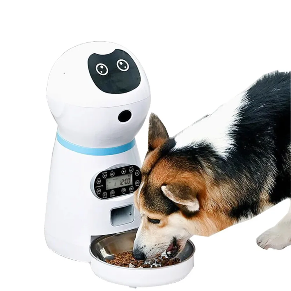 Chien de taille moyenne mangeant des croquettes dans la gamelle inox du distributeur automatique robot