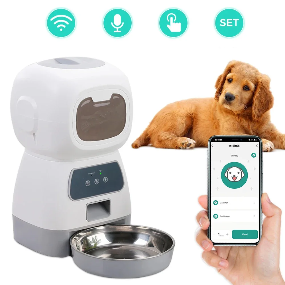 Distributeur croquette Wi-Fi pour chien avec application mobile et golden retriever allongé