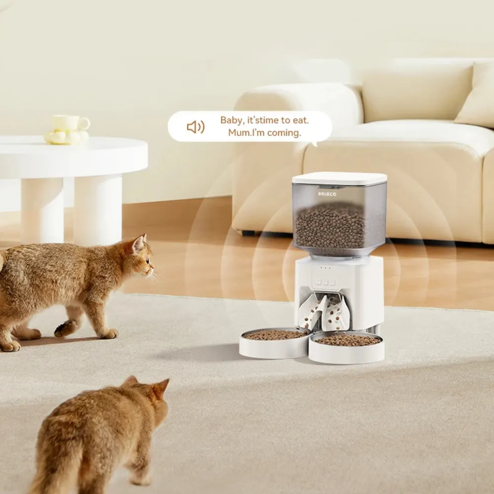 Deux chats s'approchant d'un distributeur automatique Rojeco diffusant un message vocal