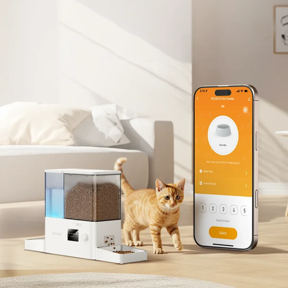 Chat roux devant le distributeur automatique Rojeco avec application de contrôle sur smartphone