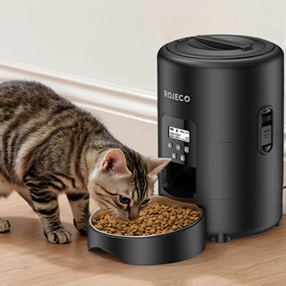 Chat tigré mangeant des croquettes dans la gamelle du distributeur automatique Rojeco noir