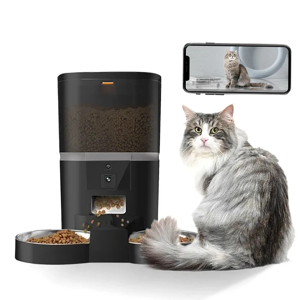 Distributeur croquettes noir caméra intégrée chat gris assis vue smartphone temps réel