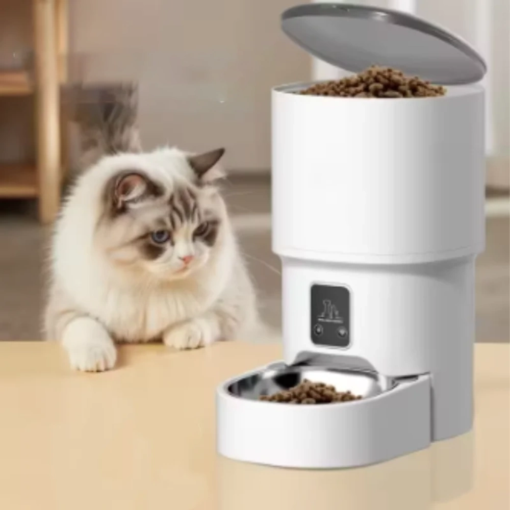 Chat blanc poilu regardant un distributeur automatique ouvert avec gamelle inox remplie de croquettes