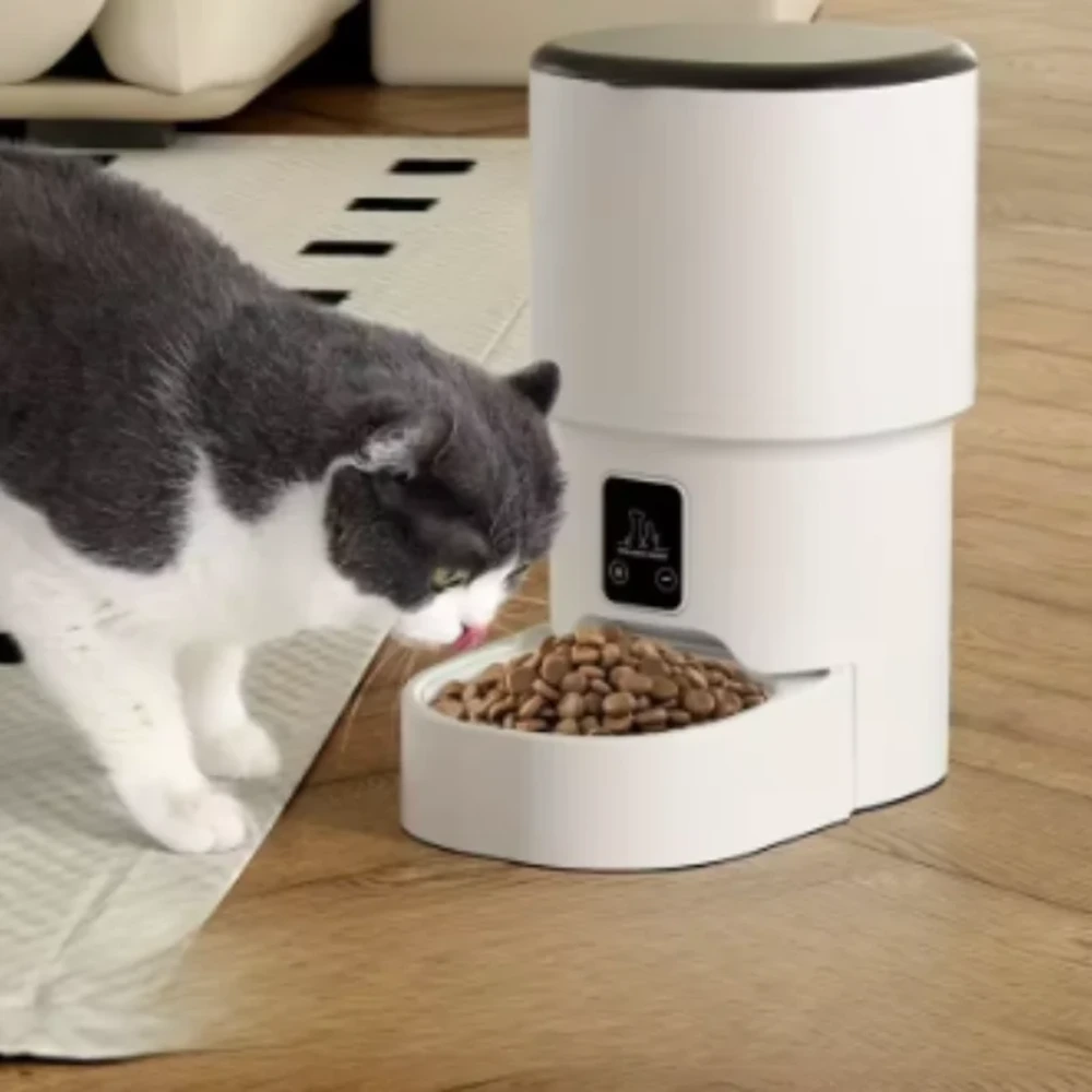 Chat gris mange des croquettes dans un nourrisseur automatique connecté blanc