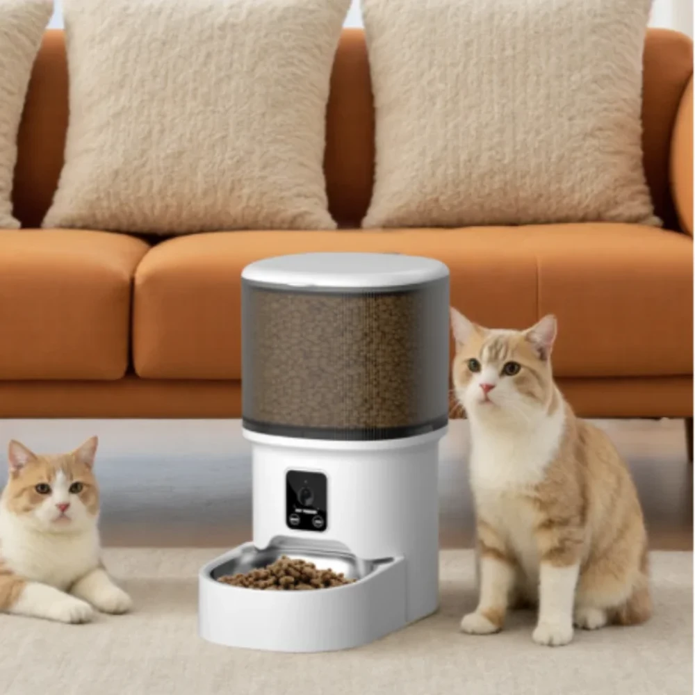 Deux chats roux assis près d'un distributeur croquettes connecté avec réservoir transparent