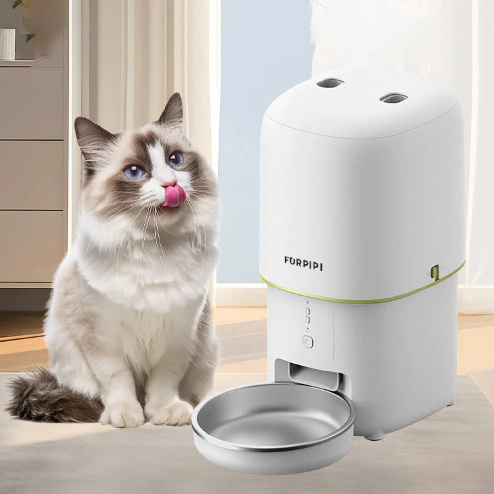 Distributeur croquette Furpipi blanc avec gamelle inox et chat Ragdoll aux yeux bleus assis à côté