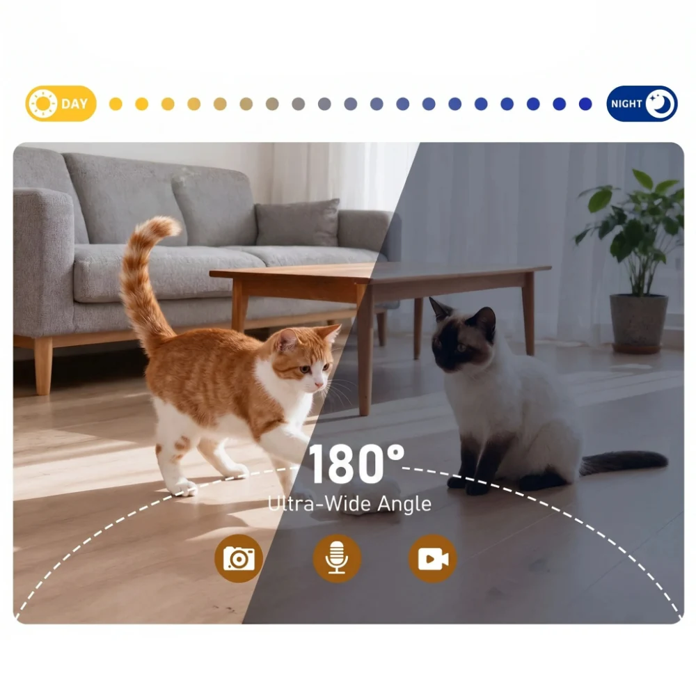 Écran partagé caméra jour et nuit distributeur croquettes avec deux chats dans salon