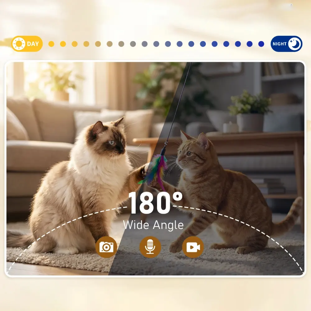 Interface caméra 180 degrés grand angle jour et nuit avec deux chats jouant dans un salon