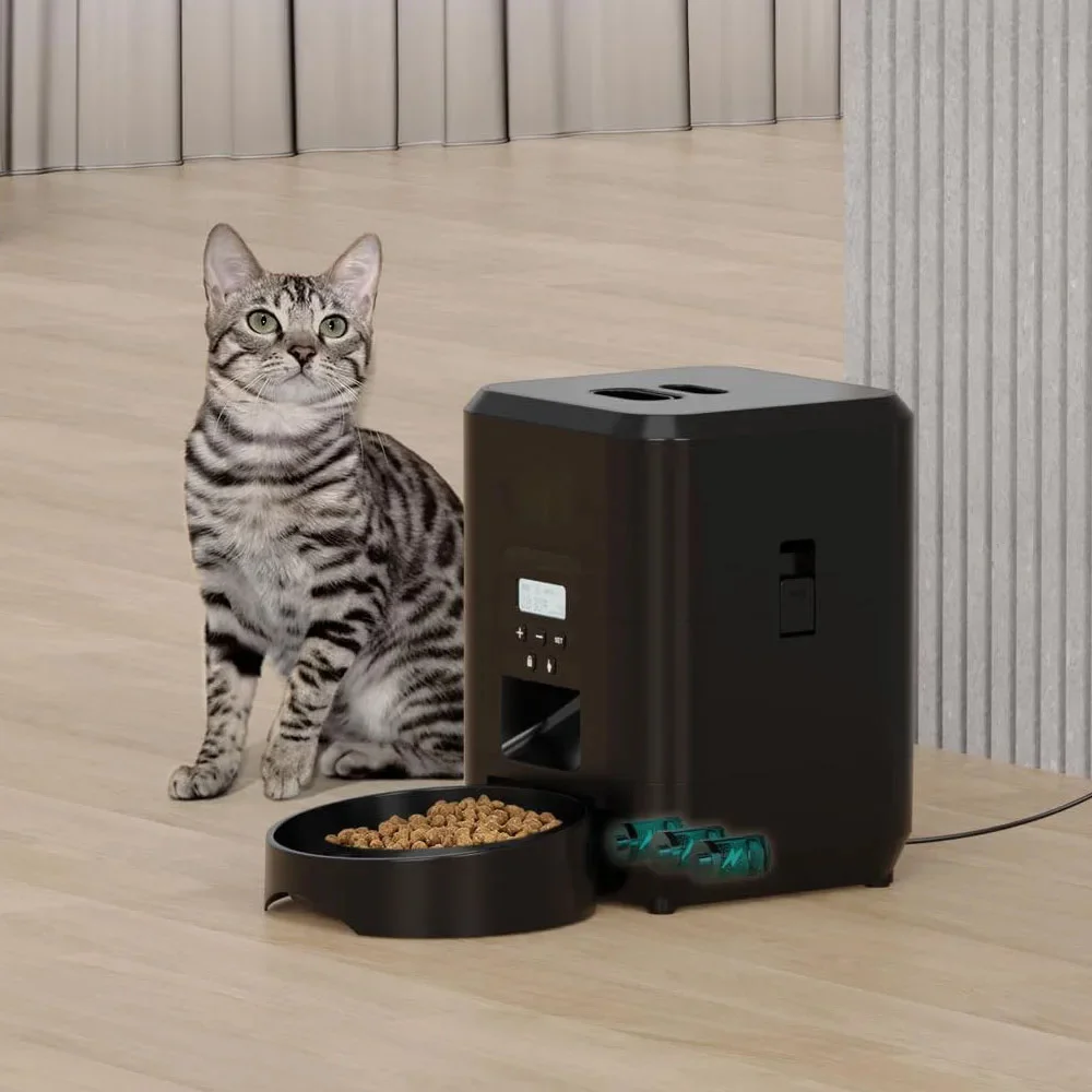 Chat tigré assis à côté d'un distributeur automatique de croquettes noir en situation réelle