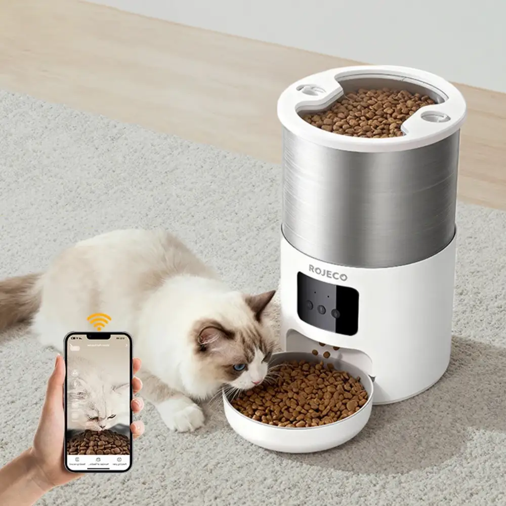 Chat ragdoll mangeant devant nourrisseur automatique Rojeco connecté via smartphone