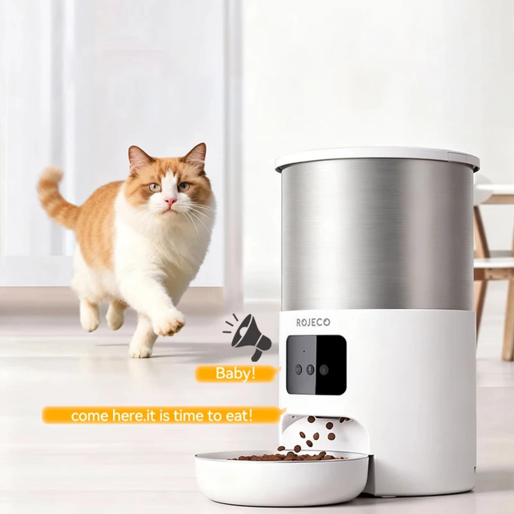 Chat roux courant vers distributeur croquette Rojeco avec message vocal affiché