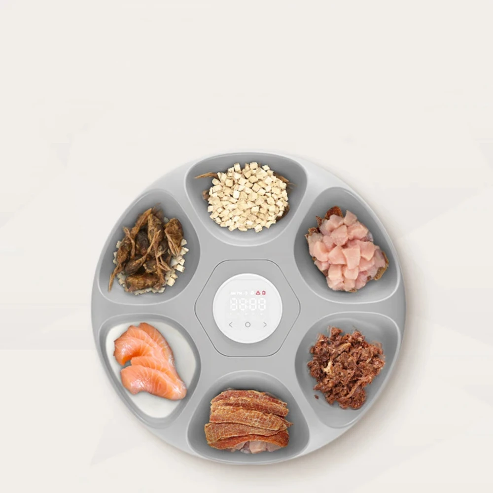 Plateau intérieur du nourrisseur Rojeco avec six compartiments garnis d'aliments variés pour chat