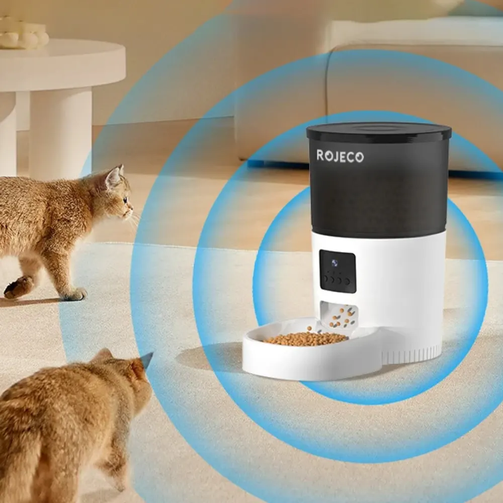 Deux chats roux approchant le nourrisseur automatique Rojeco détection infrarouge