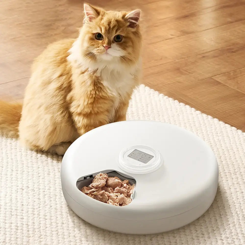 Chat roux devant un distributeur automatique de repas blanc ouvert sur un compartiment de pâtée