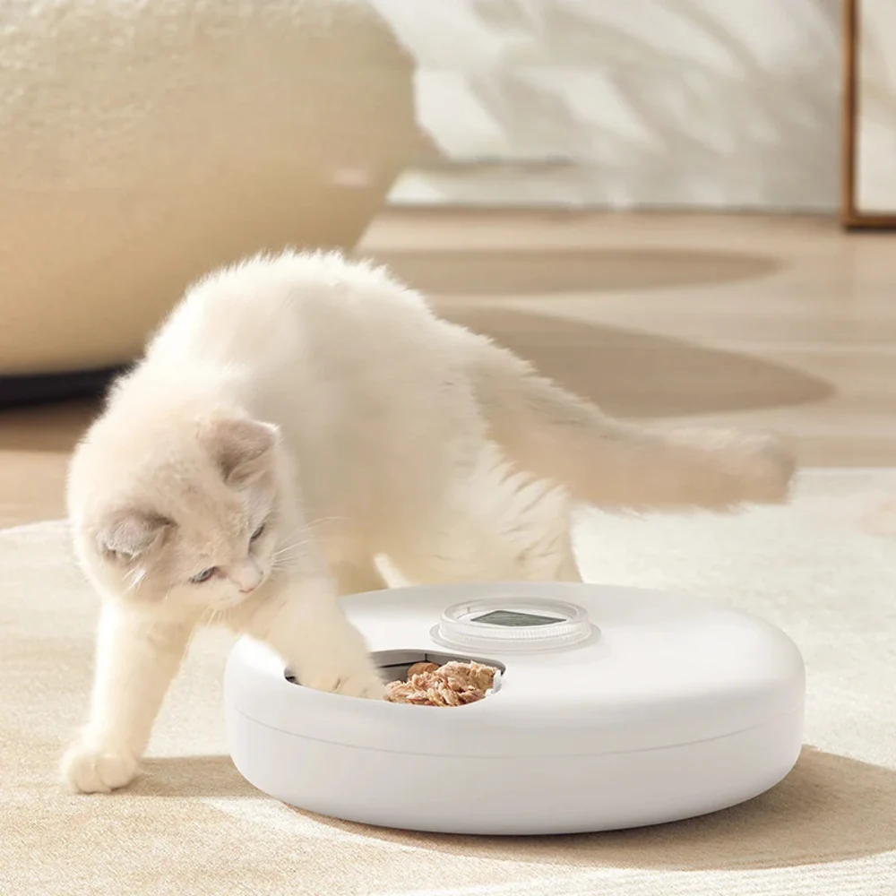 Chat blanc mangeant dans le compartiment ouvert d'un distributeur automatique de repas posé sur un tapis