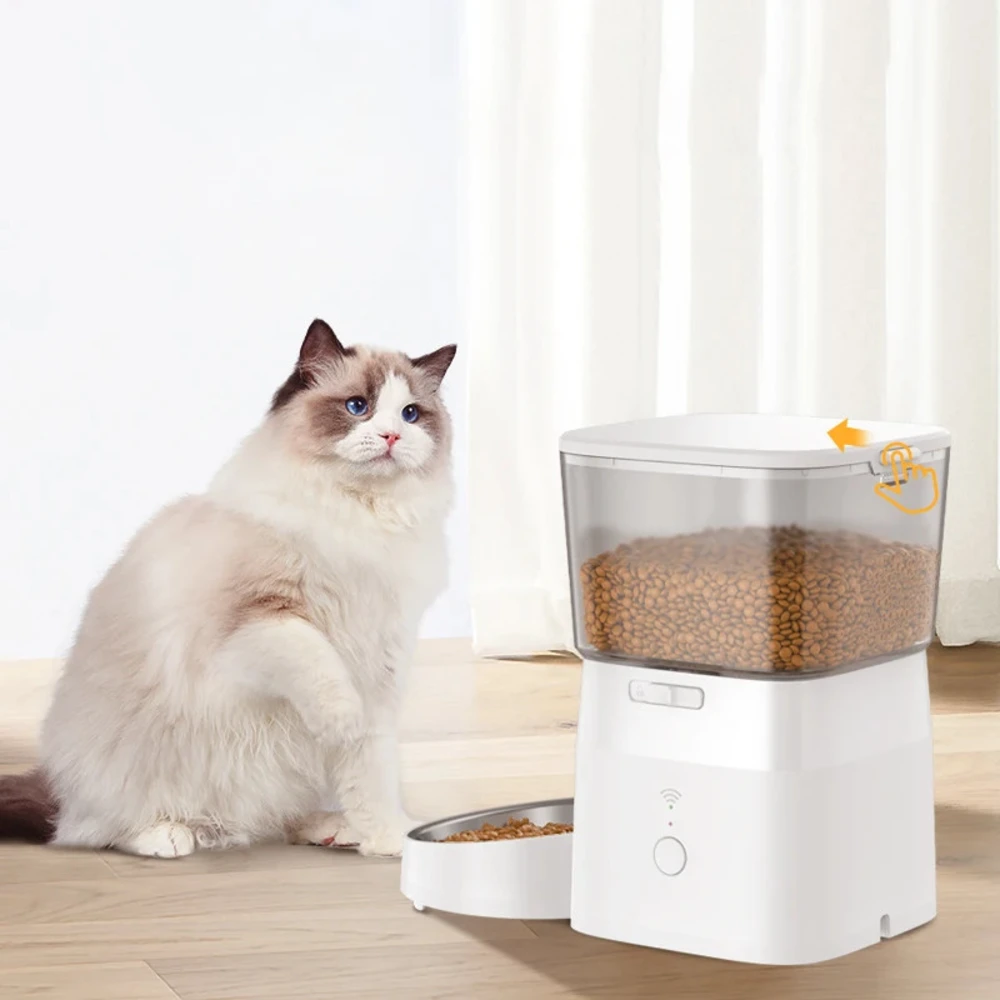 Chat ragdoll assis à côté du nourrisseur automatique Rojeco blanc sur parquet
