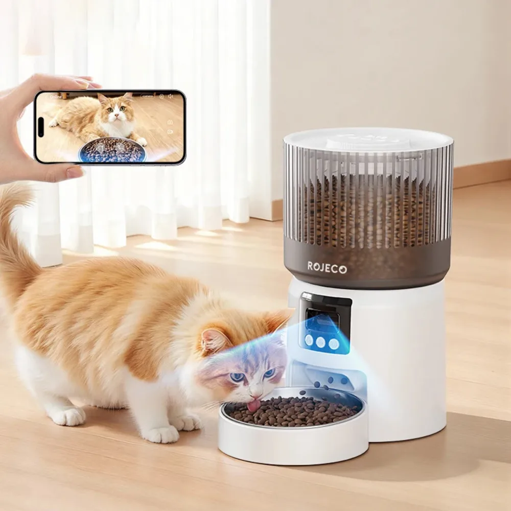 Chat roux mangeant des croquettes devant nourrisseur ROJECO connecté avec caméra active sur smartphone
