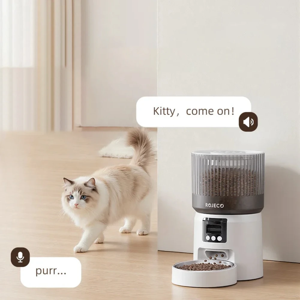 Chat blanc ragdoll s'approchant du distributeur ROJECO lors d'un appel vocal via l'application