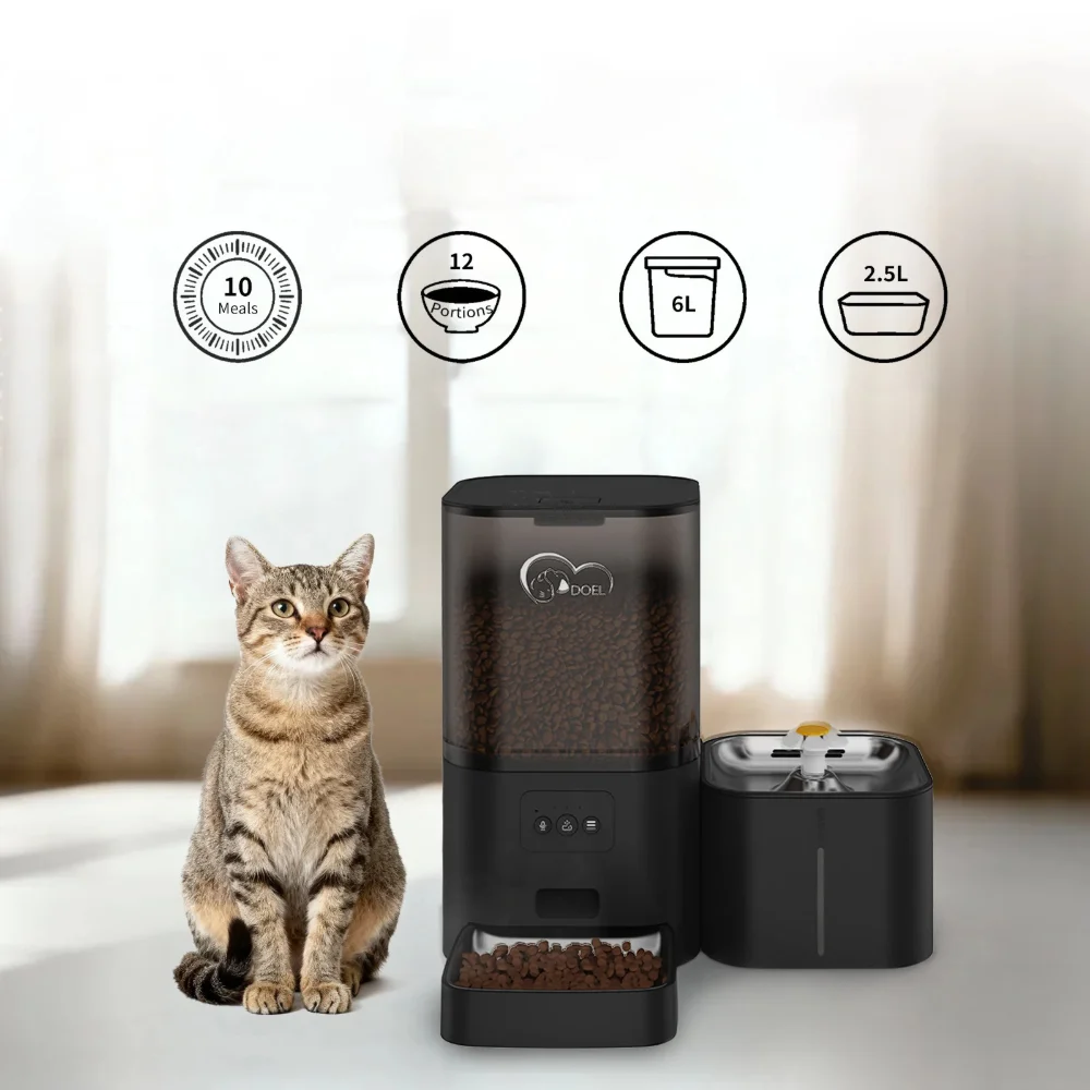 Chat tigré assis à côté du distributeur croquette noir DOEL et fontaine à eau inox