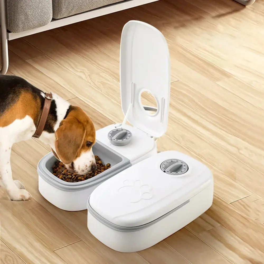 Chien beagle mangeant dans une gamelle automatique ouverte, deux unités côte à côte