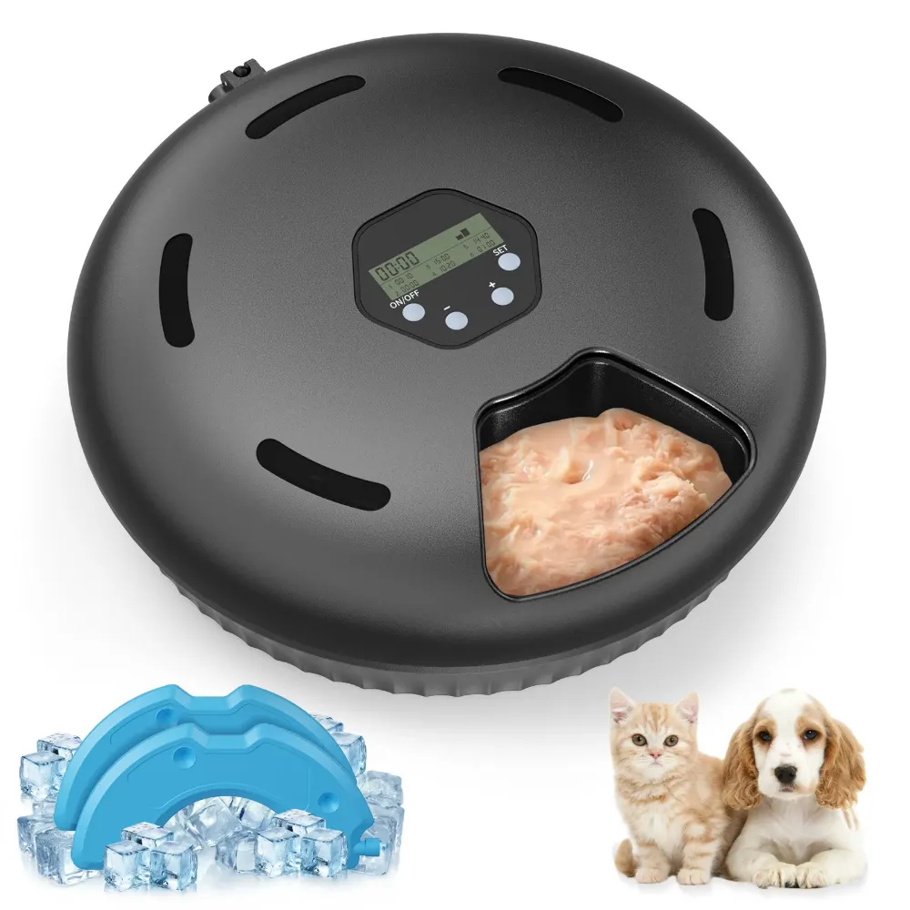 Distributeur automatique humide chat noir 6 compartiments avec écran LCD et pack de glace