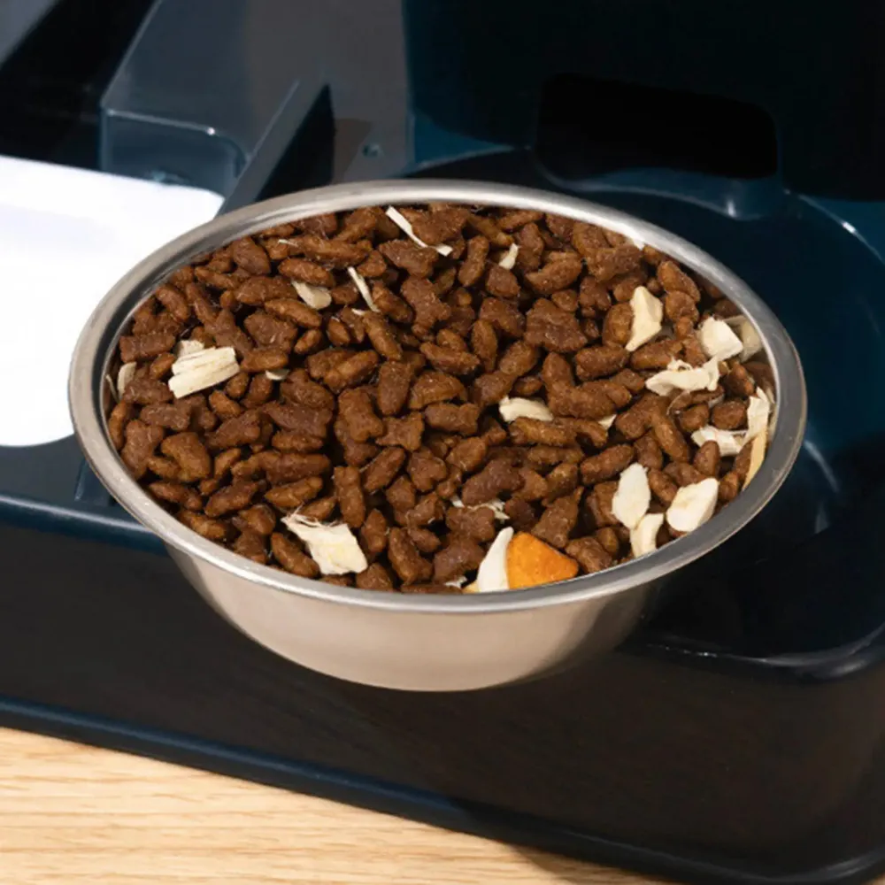 Gamelle inox remplie de croquettes pour chat posée dans son logement sur embase bleue
