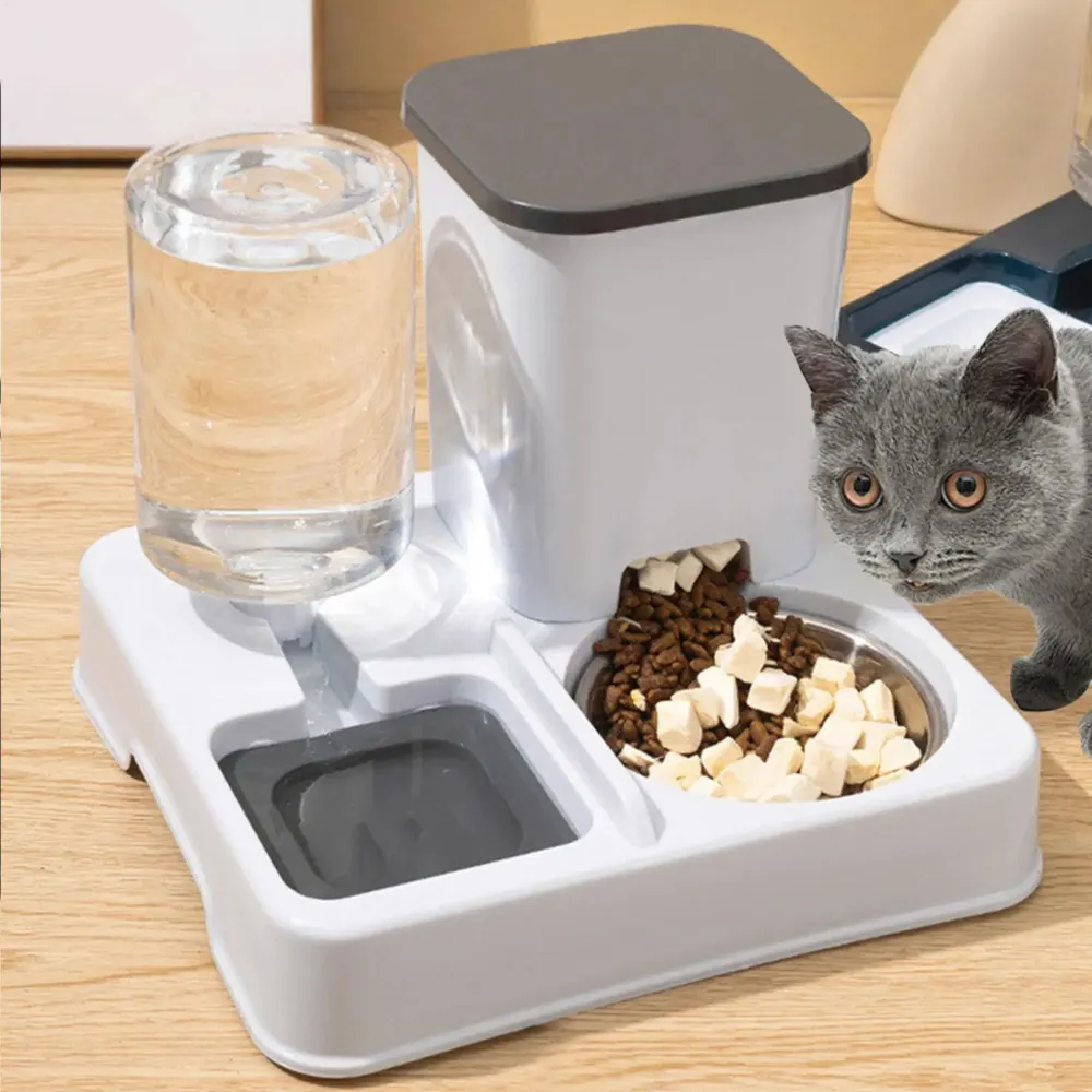 Distributeur combiné blanc avec chat gris regardant la gamelle inox remplie de nourriture